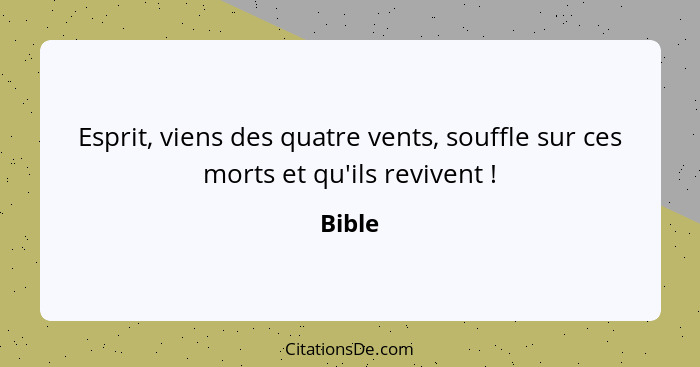 Esprit, viens des quatre vents, souffle sur ces morts et qu'ils revivent !... - Bible