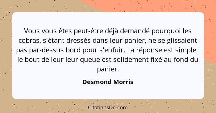 Vous vous êtes peut-être déjà demandé pourquoi les cobras, s'étant dressés dans leur panier, ne se glissaient pas par-dessus bord pou... - Desmond Morris