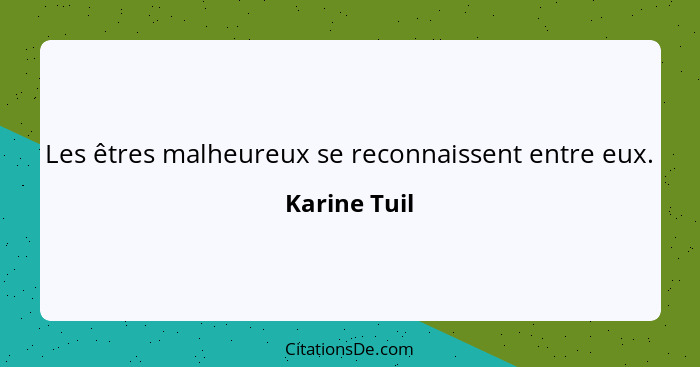 Les êtres malheureux se reconnaissent entre eux.... - Karine Tuil