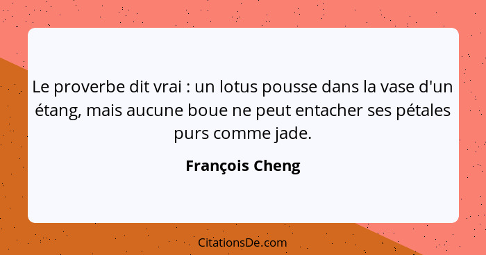 Le proverbe dit vrai : un lotus pousse dans la vase d'un étang, mais aucune boue ne peut entacher ses pétales purs comme jade.... - François Cheng