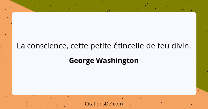 La conscience, cette petite étincelle de feu divin.... - George Washington