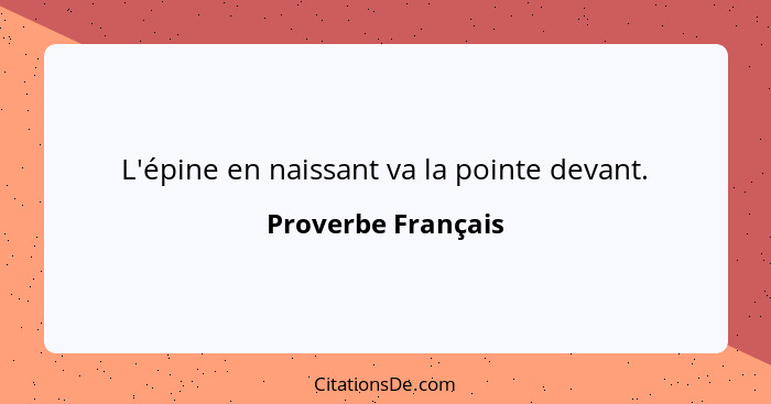 L'épine en naissant va la pointe devant.... - Proverbe Français