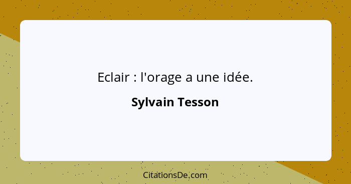 Eclair : l'orage a une idée.... - Sylvain Tesson