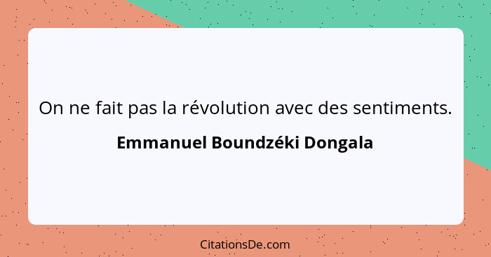 On ne fait pas la révolution avec des sentiments.... - Emmanuel Boundzéki Dongala