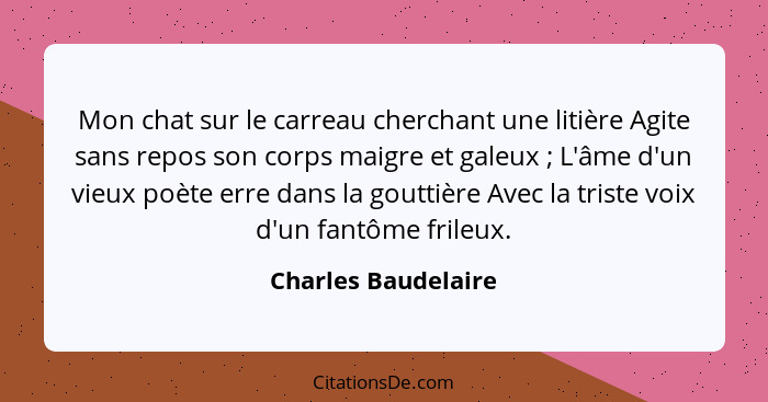 Mon chat sur le carreau cherchant une litière Agite sans repos son corps maigre et galeux ; L'âme d'un vieux poète erre dans... - Charles Baudelaire