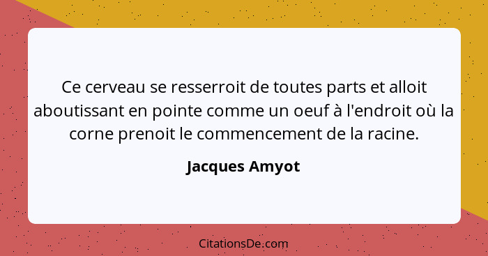 Ce cerveau se resserroit de toutes parts et alloit aboutissant en pointe comme un oeuf à l'endroit où la corne prenoit le commencement... - Jacques Amyot