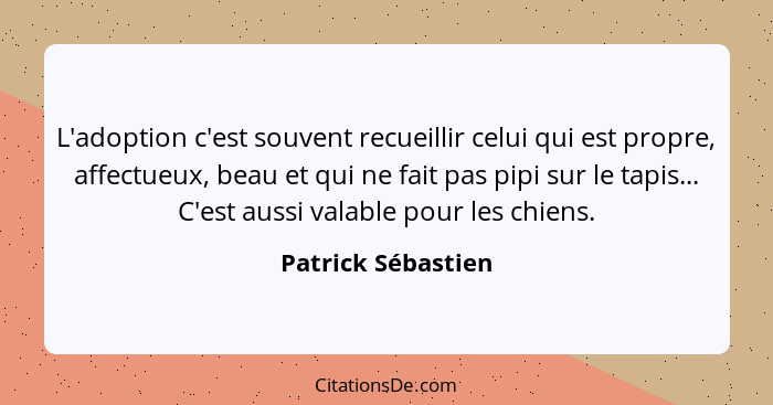 L'adoption c'est souvent recueillir celui qui est propre, affectueux, beau et qui ne fait pas pipi sur le tapis... C'est aussi val... - Patrick Sébastien