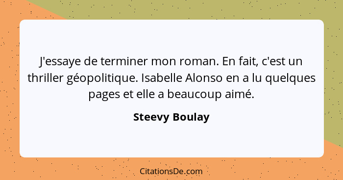 J'essaye de terminer mon roman. En fait, c'est un thriller géopolitique. Isabelle Alonso en a lu quelques pages et elle a beaucoup aim... - Steevy Boulay