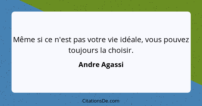 Même si ce n'est pas votre vie idéale, vous pouvez toujours la choisir.... - Andre Agassi