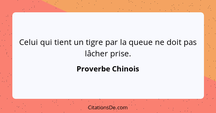 Celui qui tient un tigre par la queue ne doit pas lâcher prise.... - Proverbe Chinois