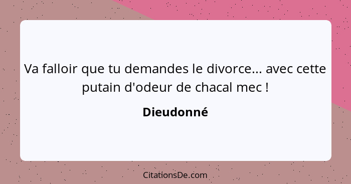 Va falloir que tu demandes le divorce... avec cette putain d'odeur de chacal mec !... - Dieudonné