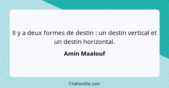 Il y a deux formes de destin : un destin vertical et un destin horizontal.... - Amin Maalouf