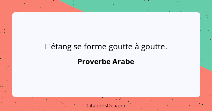 L'étang se forme goutte à goutte.... - Proverbe Arabe