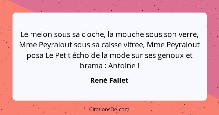 Le melon sous sa cloche, la mouche sous son verre, Mme Peyralout sous sa caisse vitrée, Mme Peyralout posa Le Petit écho de la mode sur... - René Fallet