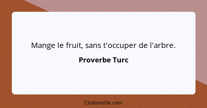 Mange le fruit, sans t'occuper de l'arbre.... - Proverbe Turc