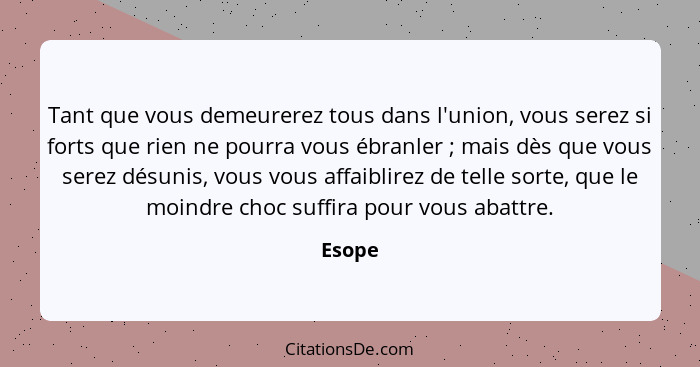 Tant que vous demeurerez tous dans l'union, vous serez si forts que rien ne pourra vous ébranler ; mais dès que vous serez désunis, vous... - Esope