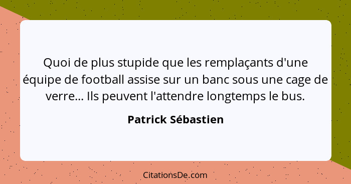 Quoi de plus stupide que les remplaçants d'une équipe de football assise sur un banc sous une cage de verre... Ils peuvent l'atten... - Patrick Sébastien