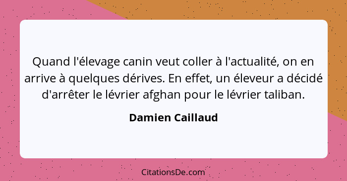 Quand l'élevage canin veut coller à l'actualité, on en arrive à quelques dérives. En effet, un éleveur a décidé d'arrêter le lévrier... - Damien Caillaud