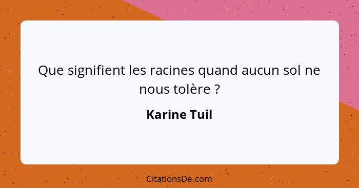 Que signifient les racines quand aucun sol ne nous tolère ?... - Karine Tuil