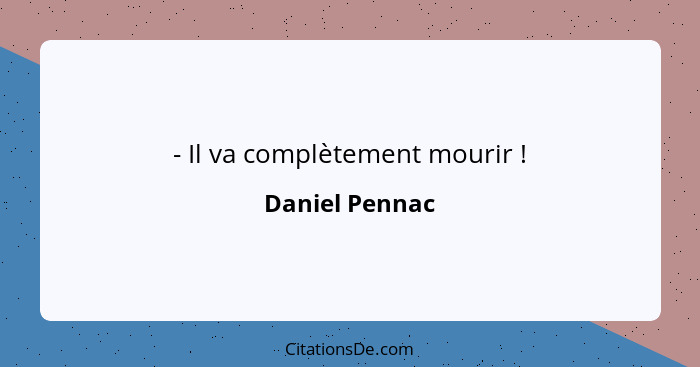 - Il va complètement mourir !... - Daniel Pennac