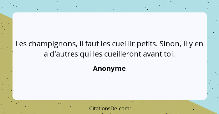 Les champignons, il faut les cueillir petits. Sinon, il y en a d'autres qui les cueilleront avant toi.... - Anonyme