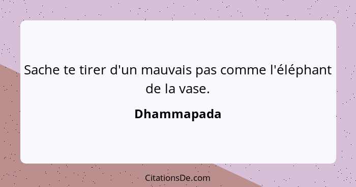 Sache te tirer d'un mauvais pas comme l'éléphant de la vase.... - Dhammapada