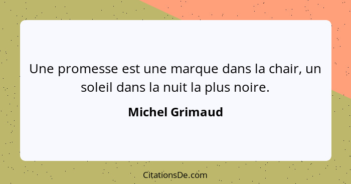 Une promesse est une marque dans la chair, un soleil dans la nuit la plus noire.... - Michel Grimaud