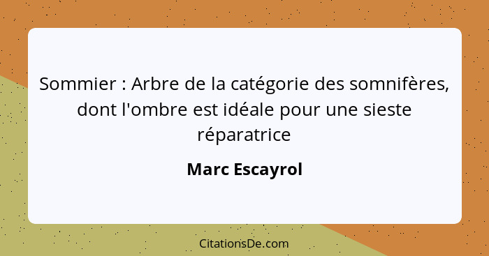 Sommier : Arbre de la catégorie des somnifères, dont l'ombre est idéale pour une sieste réparatrice... - Marc Escayrol