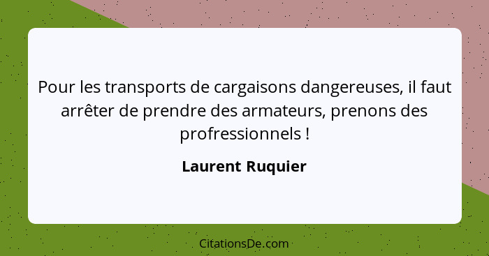 Pour les transports de cargaisons dangereuses, il faut arrêter de prendre des armateurs, prenons des profressionnels !... - Laurent Ruquier