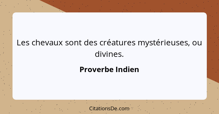 Les chevaux sont des créatures mystérieuses, ou divines.... - Proverbe Indien