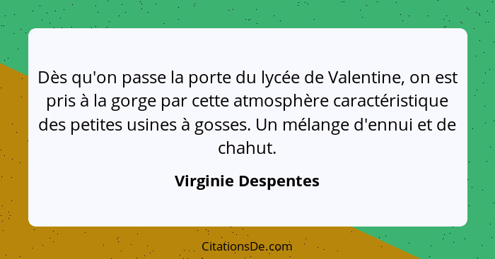 Dès qu'on passe la porte du lycée de Valentine, on est pris à la gorge par cette atmosphère caractéristique des petites usines à... - Virginie Despentes