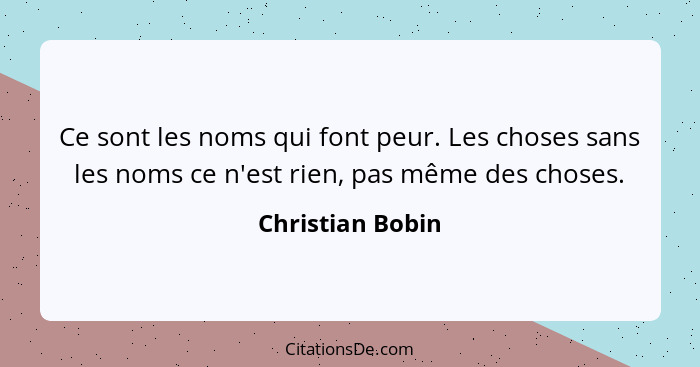 Ce sont les noms qui font peur. Les choses sans les noms ce n'est rien, pas même des choses.... - Christian Bobin