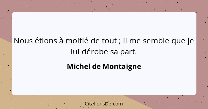 Nous étions à moitié de tout ; il me semble que je lui dérobe sa part.... - Michel de Montaigne