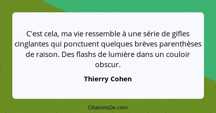 C'est cela, ma vie ressemble à une série de gifles cinglantes qui ponctuent quelques brèves parenthèses de raison. Des flashs de lumiè... - Thierry Cohen