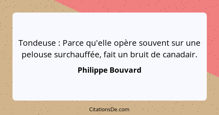 Tondeuse : Parce qu'elle opère souvent sur une pelouse surchauffée, fait un bruit de canadair.... - Philippe Bouvard