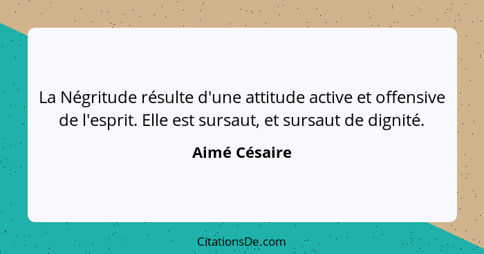 La Négritude résulte d'une attitude active et offensive de l'esprit. Elle est sursaut, et sursaut de dignité.... - Aimé Césaire