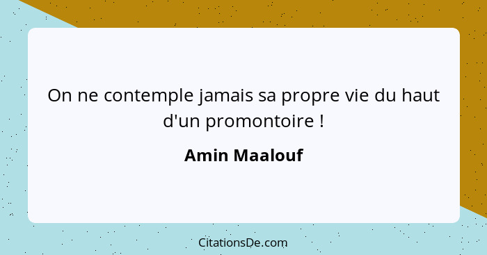 On ne contemple jamais sa propre vie du haut d'un promontoire !... - Amin Maalouf