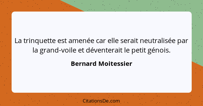 La trinquette est amenée car elle serait neutralisée par la grand-voile et déventerait le petit génois.... - Bernard Moitessier