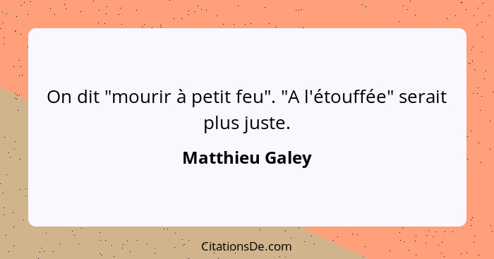 On dit "mourir à petit feu". "A l'étouffée" serait plus juste.... - Matthieu Galey