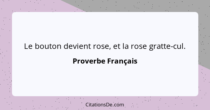 Le bouton devient rose, et la rose gratte-cul.... - Proverbe Français