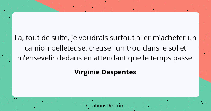 Là, tout de suite, je voudrais surtout aller m'acheter un camion pelleteuse, creuser un trou dans le sol et m'ensevelir dedans en... - Virginie Despentes