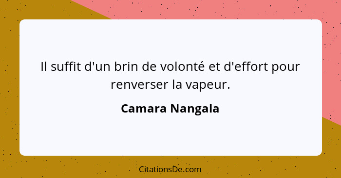 Il suffit d'un brin de volonté et d'effort pour renverser la vapeur.... - Camara Nangala