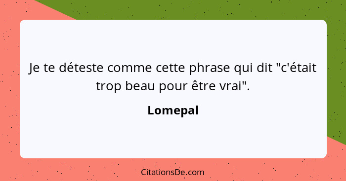 Je te déteste comme cette phrase qui dit "c'était trop beau pour être vrai".... - Lomepal