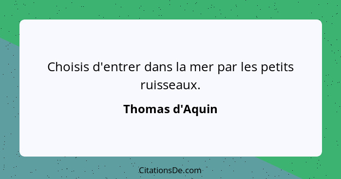 Choisis d'entrer dans la mer par les petits ruisseaux.... - Thomas d'Aquin