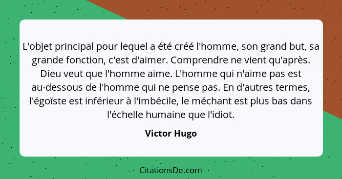 L'objet principal pour lequel a été créé l'homme, son grand but, sa grande fonction, c'est d'aimer. Comprendre ne vient qu'après. Dieu v... - Victor Hugo