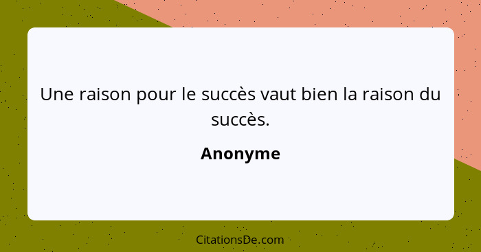 Une raison pour le succès vaut bien la raison du succès.... - Anonyme