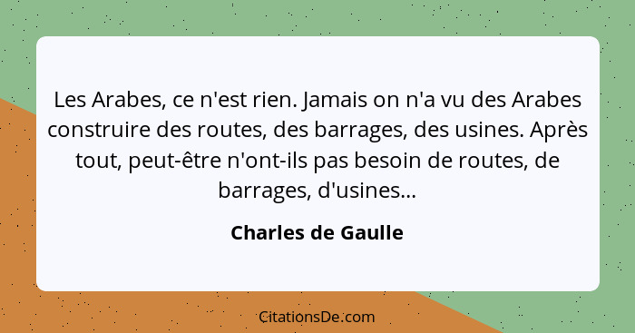 Les Arabes, ce n'est rien. Jamais on n'a vu des Arabes construire des routes, des barrages, des usines. Après tout, peut-être n'on... - Charles de Gaulle