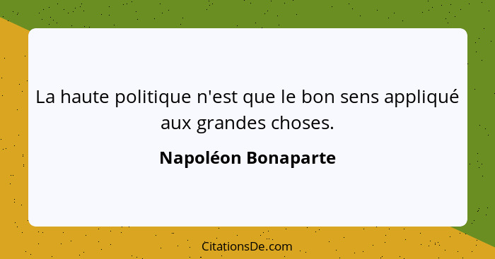 La haute politique n'est que le bon sens appliqué aux grandes choses.... - Napoléon Bonaparte