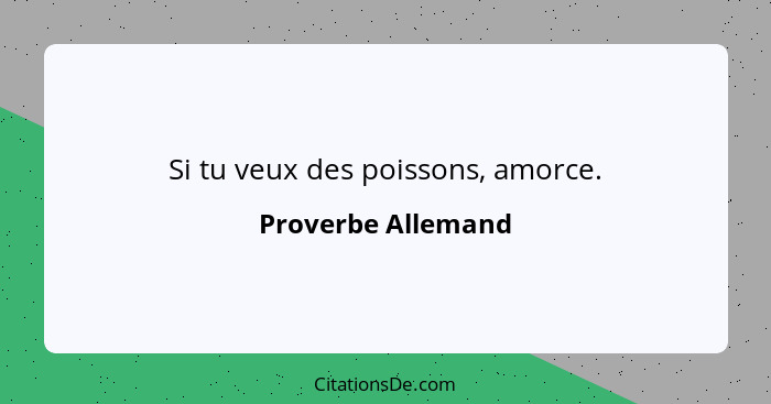 Si tu veux des poissons, amorce.... - Proverbe Allemand