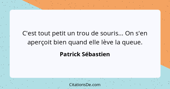 C'est tout petit un trou de souris... On s'en aperçoit bien quand elle lève la queue.... - Patrick Sébastien